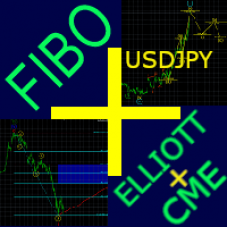Fibo+Elliott+CME USDJPY